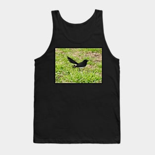 Willie Wagtail Tank Top